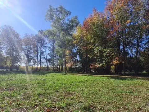 VENTA CAMPO EN PILAR, OPORTUNIDAD. 4 HECTAREAS.