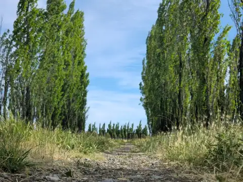 Casa en Venta al Este