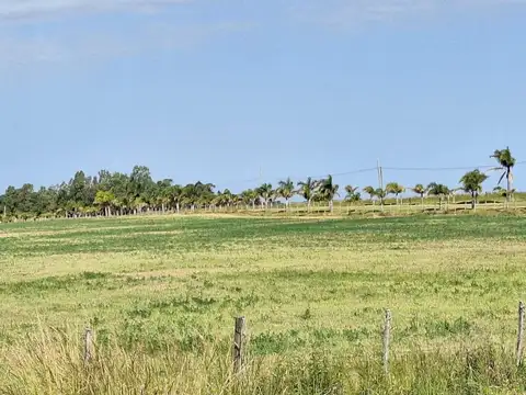Venta campo 4,8 Há cercado y limpio próximo Pando