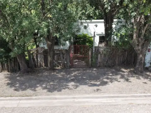 Mendoza 100