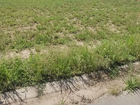 Terreno en Venta en Capitan Bermudez, USD 19.000