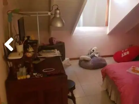 Insua 429