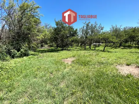 Terreno en Venta 24  mts Frente