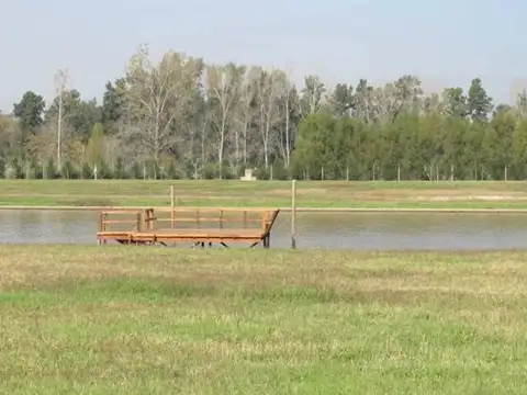 San Juan Lote 43 - Villa Nueva