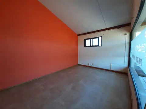 Giannattasio 100