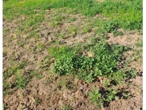 Terreno en Venta en Pocito, USD 64.000