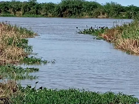Terreno en Desvio Arijon