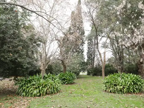 Terreno en Venta 50  mts Frente