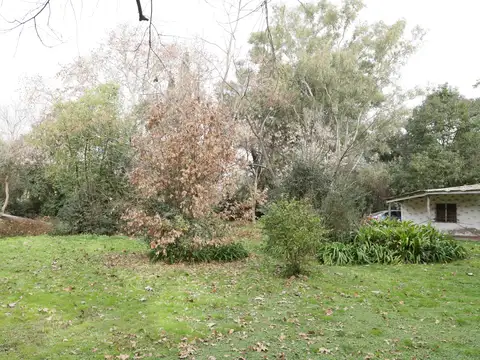 Terreno en venta en Pilar Centro sobre Panamericana  km 54  (5250 m2)