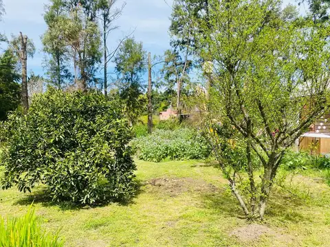 Terreno en Venta 43  mts Fondo
