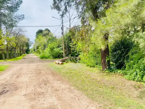 Terreno en Venta 20  mts Frente