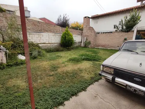 Cacheuta al 1100