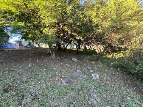mza 100