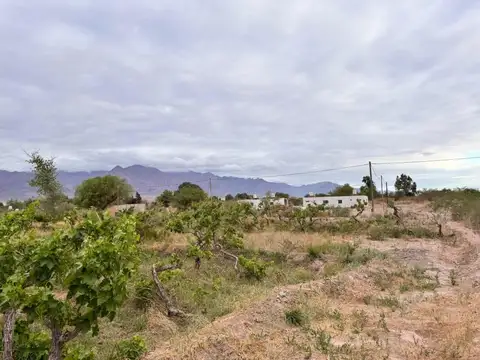 SE VENDE TERRENO EN FIAMBALA TINOGASTA