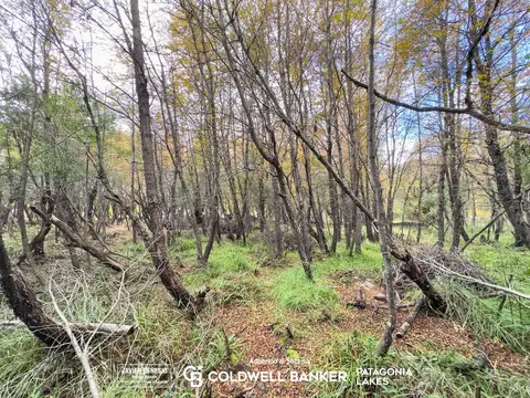 VENTA Lote/Terreno 3000m2 para realizar 6 Vúmenes (12 UF) Las Balsas Villa la Angostura