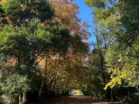 FINANCIADO LOTE DE 440 M2 EN BARRIO PARQUE PERÓ -DEL VISO