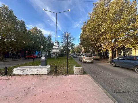 419 E/ 6 Y CNO. CENTENARIO