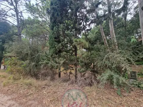 Terreno en Venta 45  mts Fondo