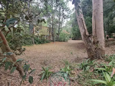 Terreno en Venta 45  mts Frente