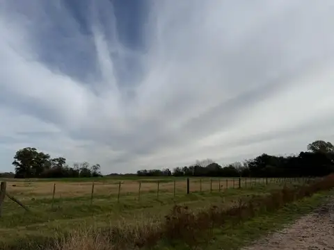 Campo - Venta - Argentina, Lobos