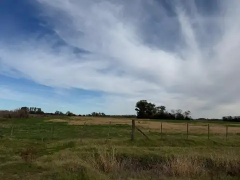 Campo - Venta - Argentina, Lobos