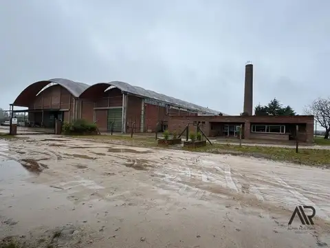 Polo Logístico con galpón de 8000m y 44 has de terreno en la ciudad de Florida