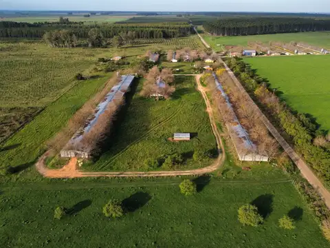 Campo en Venta Granja