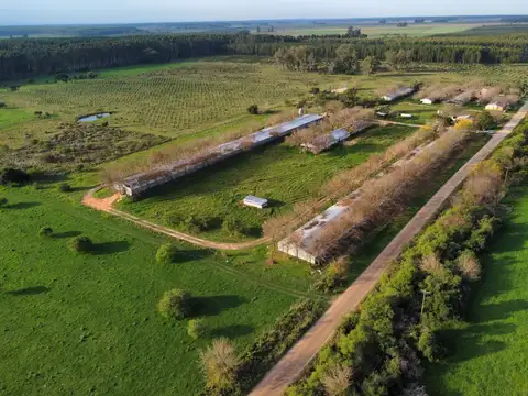 Granja avícola en venta en Dpto. Colón ER
