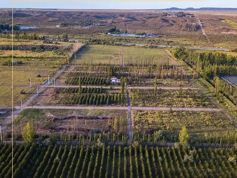 Terreno en Venta en General Fernández Oro, USD 22.800