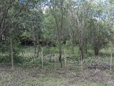 Lote en Cosquín, Córdoba | Servicios disponibles.