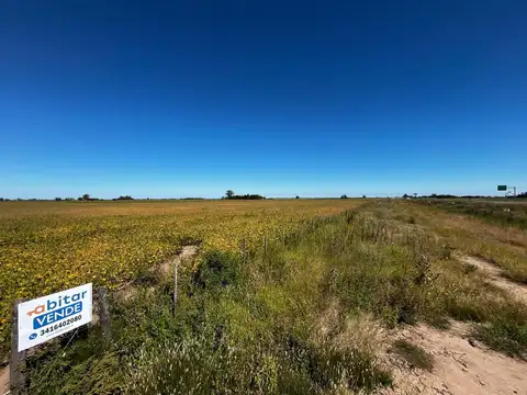 Terreno en Venta 704  mts Fondo