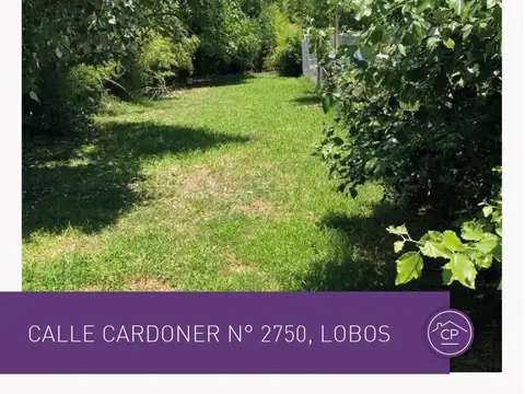 Terreno en Venta 10  mts Fondo