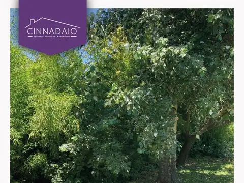 Terreno en Venta de 380,0 m2