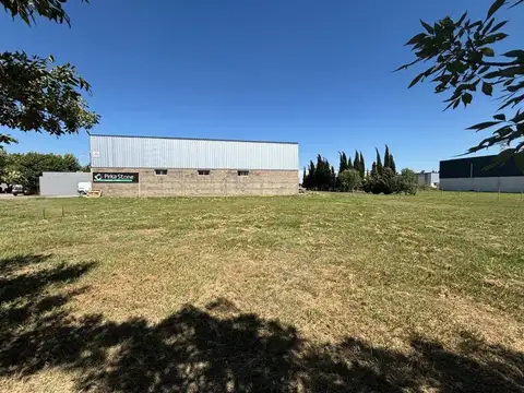 EMILIANO BOFELLI 4100