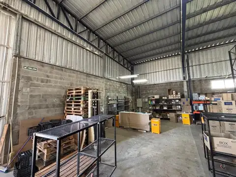 EMILIANO BOFELLI 4100