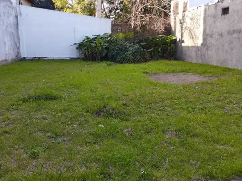 Maipú 100