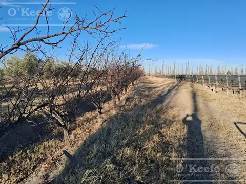 UNA FINCA