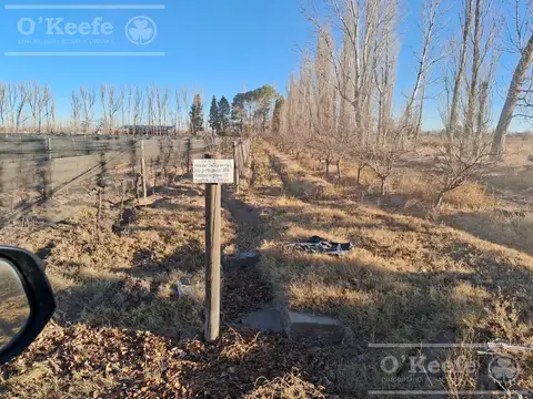 San Rafael, Mendoza.