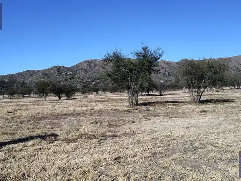 Terreno en Venta de 800,0 m2