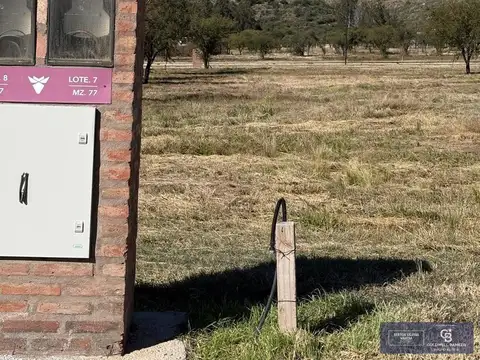 manzana 77 7