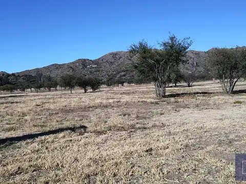 Terreno en Venta 40  mts Fondo