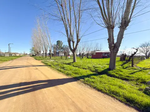 San Martin 1700