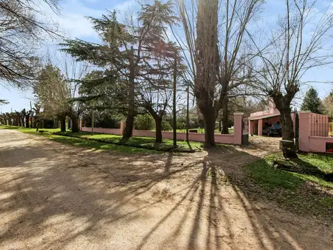 Quinta en Chivilcoy -SE ESCUCHAN OFERTAS-
