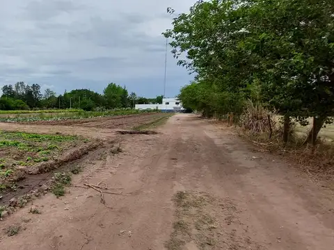 Campo de 6.5 Has. a la venta en Cañuelas sobre asfalto