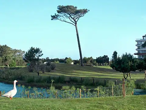 Venta Lotes Veramansa