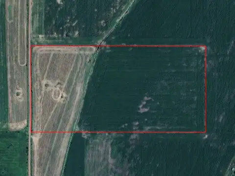 CAMPO EN VENTA EN PERGAMINO