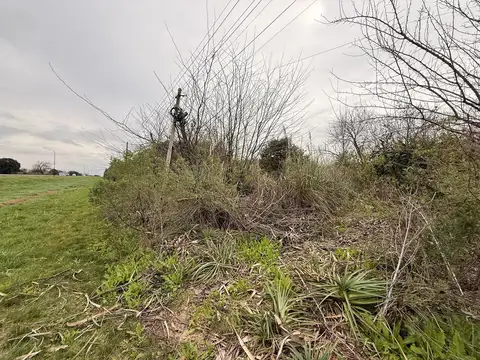 Terreno en Alquiler de 11000,0 m2