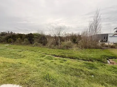 Terreno en Alquiler en Pavón, USD 3.900