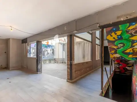 Bonpland 1700