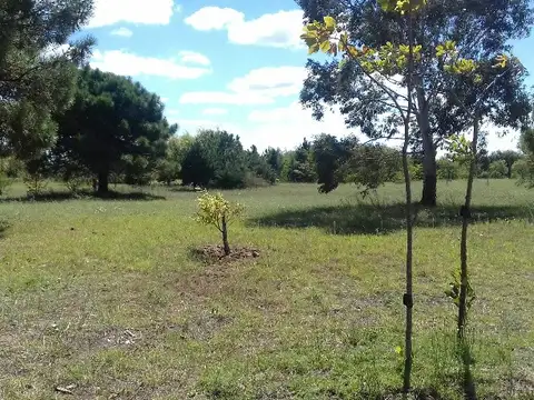Lote - Venta - Argentina, Mar de Ajó
